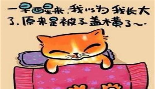 鼓励冒险精神练就独立个性