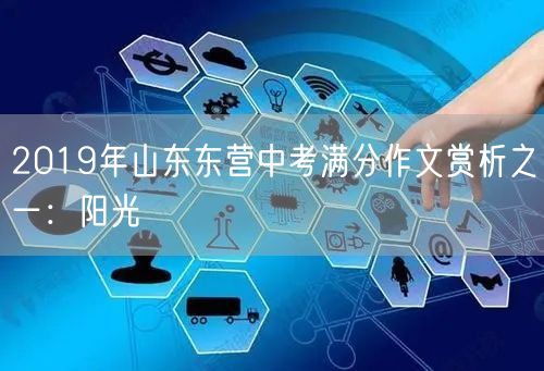 2019年山东东营中考满分作文赏析之一：阳光