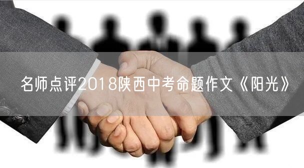 名师点评2018陕西中考命题作文《阳光》